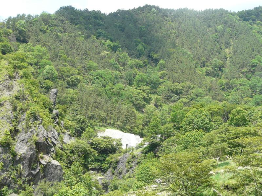 現在の足尾周辺の山の姿